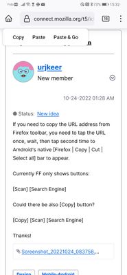 Screenshot_20221025_153221_org.mozilla.fenix.jpg