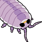 isopod