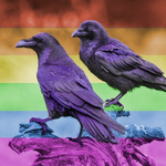 RainbowCrows